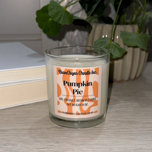 Pumpkin Pie scented Candle by Burn Sugar Candle Inc. on a surface with a plant in the background.